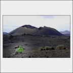 Paesaggio Paesaggio