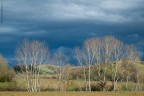 18032013__DSF3248 18032013__DSF3248