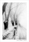 sentieri innevati sentieri innevati