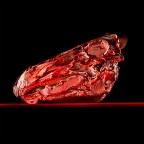 Horse By Antonio Strafella