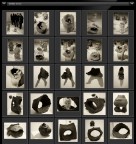 Una mostra di sculture in ceramica realizzate con la tecnica del "blow up"
Canon EOS 5D, 24-105/4 IS, mano libera, 1600 ISO, tutta apertura (quasi tutte)
Conversione in b/n (a toni caldi) da file jpg