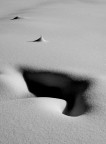 neve - 2005 neve - 2005
