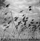 verso il cielo verso il cielo