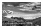 .....cielo..... .....cielo.....