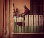 l'amore per le piante l'amore per le piante