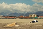 Marina II Marina II