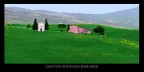 Dal poderino Dal poderino