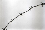 Auschwitz Auschwitz