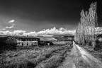 Campagne Aretine... Campagne Aretine...