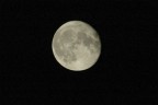 Moon Moon