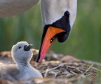 Madre e figlio Madre e figlio
