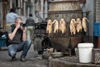 Caccia fotografica! Caccia fotografica!