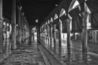 Venezia - Mercato del pesce Venezia - Mercato del pesce