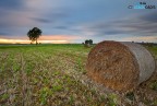Hayfield Hayfield