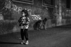 The dog The dog