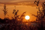 Tramonto a Campotto Tramonto a Campotto