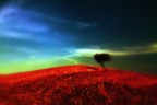 Una solitudine Una solitudine