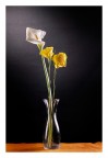 Mezzo litro con fiori Mezzo litro con fiori