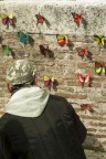 Farfalle Farfalle
