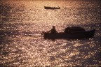 Mare....... Mare.......