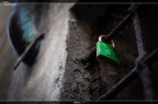 Amore Punk Amore Punk