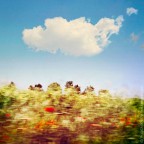 Cloud Cloud