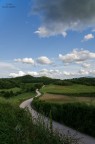 La strada La strada