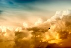 volare dentro lo spettacolo ! volare dentro lo spettacolo !