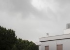 Gray Gray