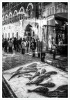 la pescheria di strada la pescheria di strada