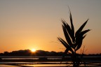 tramonto tramonto