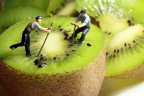 Siamo alla frutta Siamo alla frutta