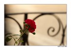 St St