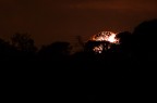 Corona solare