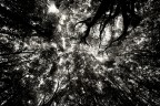 Tra sogno e realta' II Tra sogno e realta' II