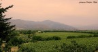 Vigneti 2 Vigneti 2