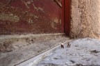 Buon vicinato Buon vicinato