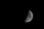 Luna Luna