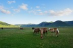cavalli a piangrande, Castelluccio di Norcia