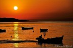 a pesca nell'oro del mattino a pesca nell'oro del mattino