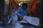 il gatto e il libro il gatto e il libro