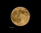 Luna Luna