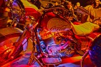 Harley Coca Harley Coca