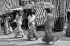 Siviglia Siviglia