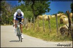 BDC|Campagnolo BDC|Campagnolo