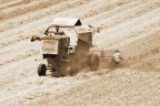 CLAAS "medium" #1 CLAAS "medium" #1