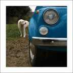 cielo grigio, giornata noiosa, sguardo triste