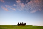 Quelli che i cipressi Quelli che i cipressi