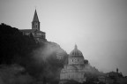 TODI TODI