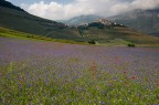 Lu Castelluccio Lu Castelluccio